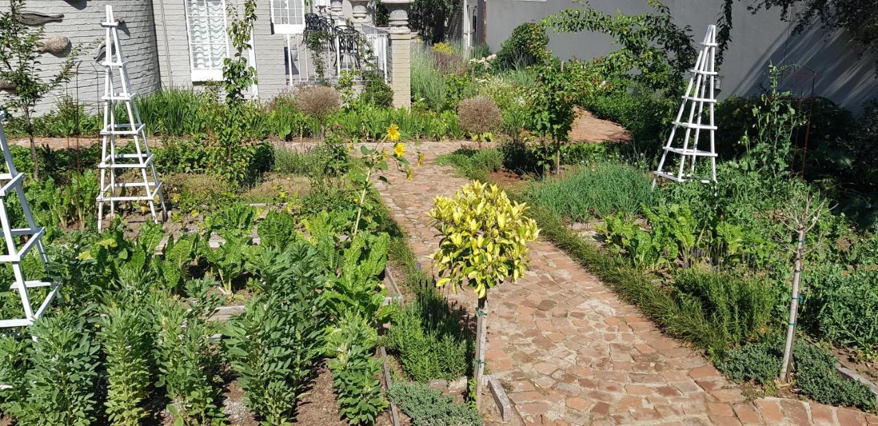 Villa Moi Johannesburg Exterior photo